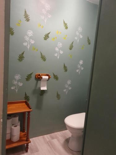 a bathroom with a toilet and a green wall at Villa Honorine in Saint-Honoré-les-Bains