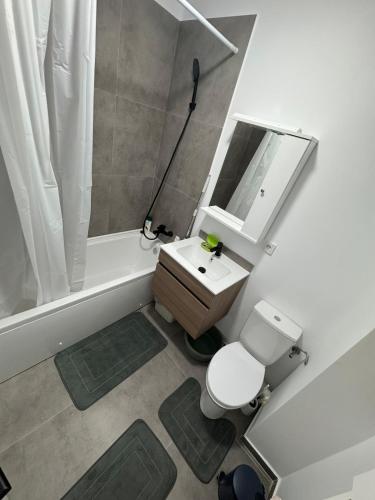 a bathroom with a sink and a toilet and a bath tub at Garsoniera mobilata si utilata in Chiajna