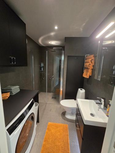 a bathroom with a sink and a toilet and a shower at The little house by the paddock - only for non smokers in Gothenburg