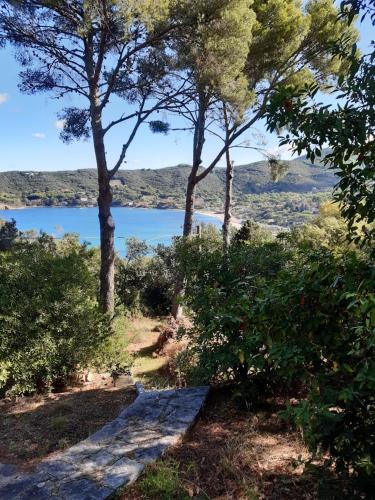 a path leading up to a lake with trees at Villa vista mare in Procchio