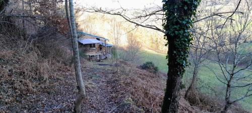 chalet في La Celle-sous-Gouzon: كوخ خشبي في وسط غابة