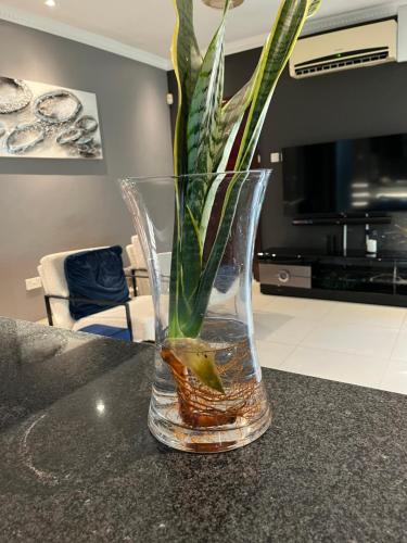 Köök või kööginurk majutusasutuses Olive Exclusive