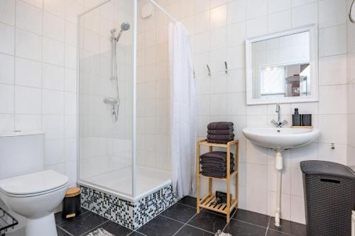 a bathroom with a shower and a toilet and a sink at Onder de Beukenboom in Nieuwe Pekela