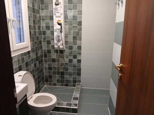 a bathroom with a toilet and a shower at Magdalena & Bambino apartments in Sarti