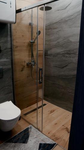 a bathroom with a glass shower with a toilet at Domki Leśne Zacisze in Baczyn