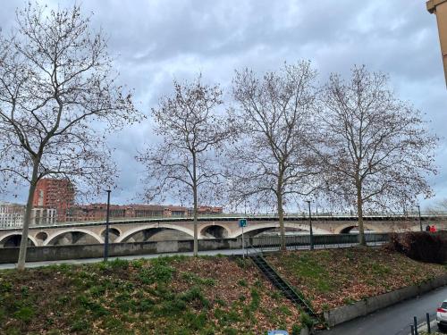 T2 cosy avec vue Pont des Catalans-Saint Cyprien