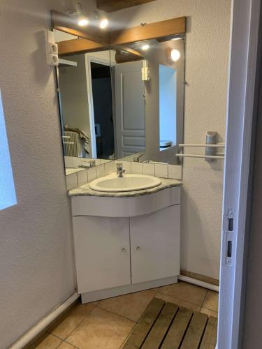 a bathroom with a sink and a large mirror at Maison de caractère in Saint-Vert