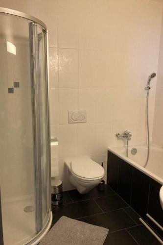 a white bathroom with a toilet and a shower at Apartment Seehof by Interhome in Rorschacherberg