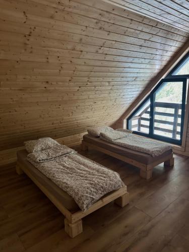 two beds in a wooden room with two windows at Cabana Bradul Adelinei in Bucsin