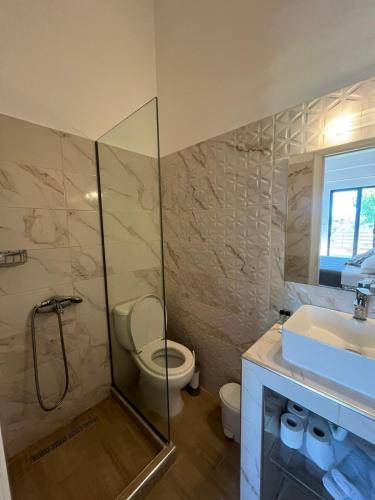 a bathroom with a shower and a toilet and a sink at Green Garden Studios in Koskinou