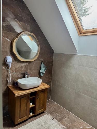 a bathroom with a sink and a mirror at Cabana Bradul Adelinei in Bucsin