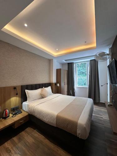 a bedroom with a large bed and a television at Royale Serenity in Gangtok