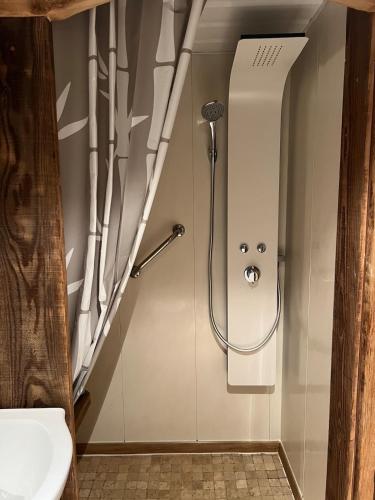 a bathroom with a shower and a sink at LA VARNACHE logement cosy in Bonvillard