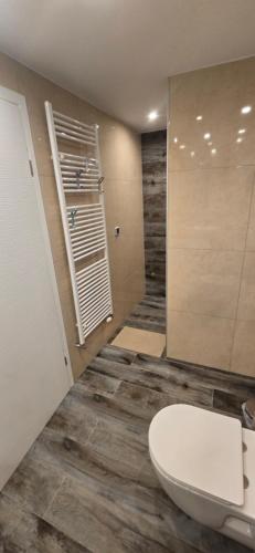 a bathroom with a toilet and a walk in shower at Apartman Tango in Zaprešić