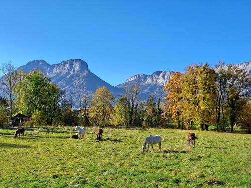 L'Appart des Grands Prés à Doussard entre Lac et Montagnes