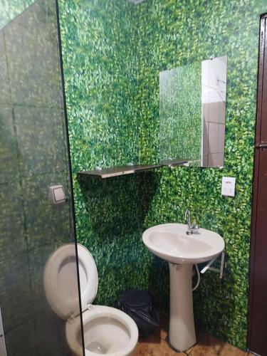 a bathroom with a sink and a toilet and a mirror at Casa com piscina Ana Eliza in Cambé
