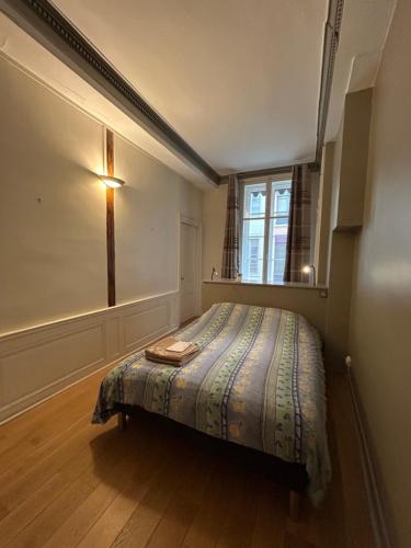 Appartement lumineux en plein coeur de Lyon photo 8