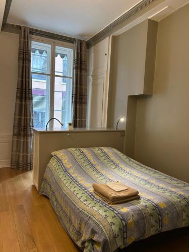 Appartement lumineux en plein coeur de Lyon photo 13