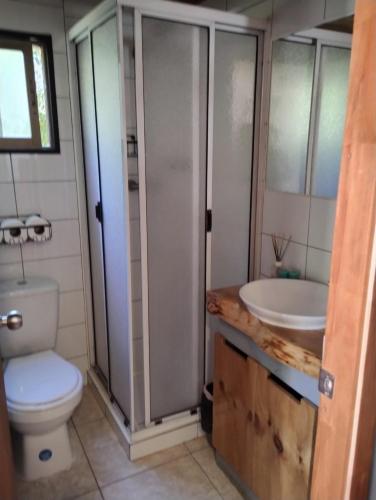 a bathroom with a toilet and a sink at Mini cabaña in Pucón