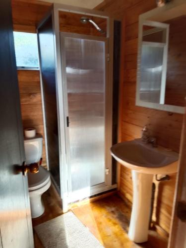 a bathroom with a sink and a toilet at Cabaña tree in Boca Pupuya