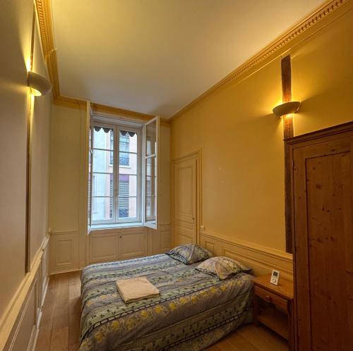 Appartement lumineux en plein coeur de Lyon photo 3