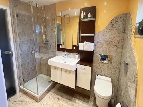 a bathroom with a shower and a toilet and a sink at Lieblingsplatz Appartement in Seelitz