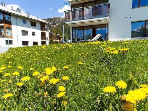 Apartment Chesa Rosatsch by Interhome