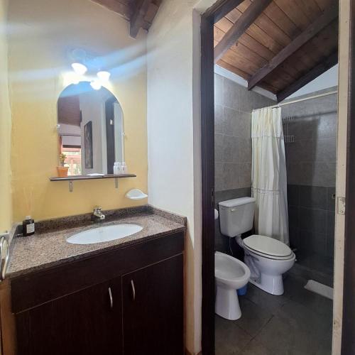 a bathroom with a sink and a toilet and a shower at Aparts Duendes del Arroyo in Villa General Belgrano