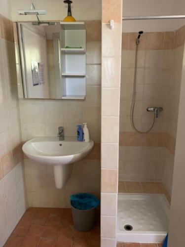 a bathroom with a sink and a shower at Agriturismo Barattis in Piombino