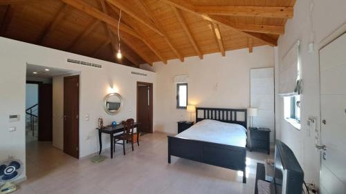 a bedroom with a bed and a desk in a room at Seaview Villa Theologos in Theologos
