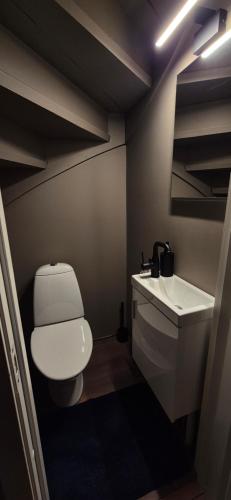 a small bathroom with a toilet and a sink at Villa Aurora Casita in Tromsø