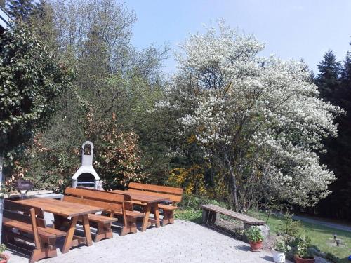 a picnic table and benches in a park with trees at Apartment Ausgebaute Scheune by Interhome in Kollnburg