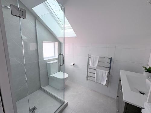 a bathroom with a shower and a toilet and a sink at STUDIO42 in Papakura