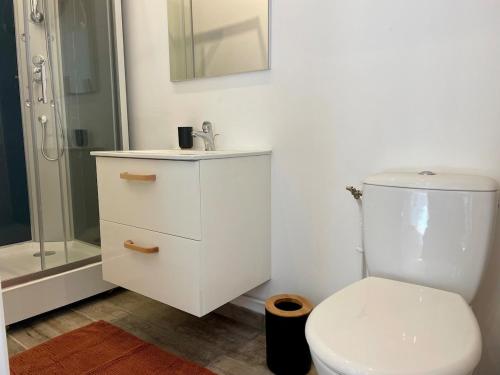 a bathroom with a toilet and a sink and a shower at La Sorga - gîte 12 personnes in Blesle