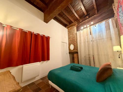 Tourneurs Toulousain - Charme & Spacieux - 2 chambres - Centre ville Toulouse photo 29