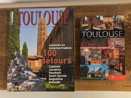 Tourneurs Toulousain - Charme & Spacieux - 2 chambres - Centre ville Toulouse photo 17