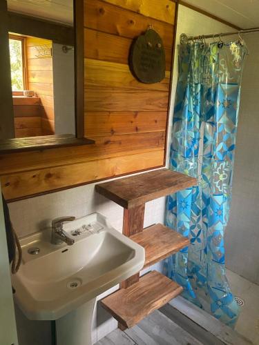 a bathroom with a sink and a mirror at Natures Balcony Reclaimed Wood Cabin with Villarrica Volcano and Majestic Peak Views in Pucón