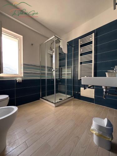 a bathroom with a shower and a toilet and a sink at La valle del ciglioto in Licusati