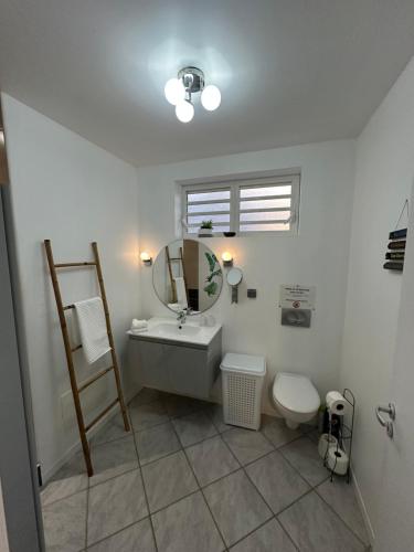 a bathroom with a sink and a toilet and a mirror at Maryvent Apartment in Sainte-Anne