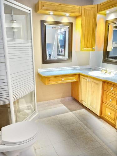 a bathroom with a shower and a toilet and a sink at Villa le Voyageur in Sherbrooke