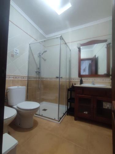 a bathroom with a shower and a toilet and a sink at La Virgen del Mar in Las Hortichuelas Bajas