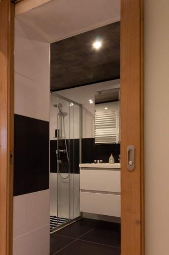 a bathroom with a shower and a sink at Le Monciat in Lessines