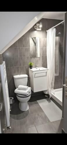a bathroom with a toilet and a sink and a shower at Le Cocon de la Cathédrale au cœur de Metz in Metz