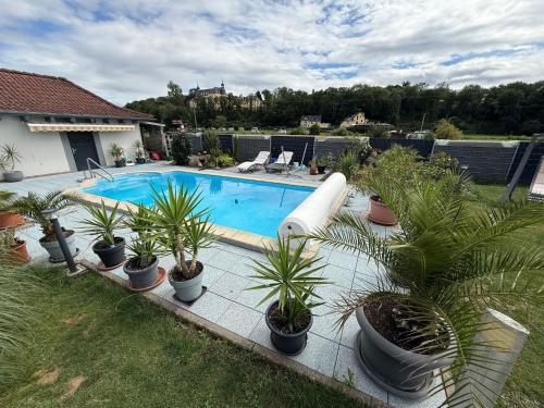 a swimming pool with potted plants in a yard at Apartment Lahn-Paradies by Interhome in Aull