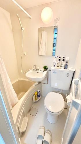 Good One Awaji Accessia 401