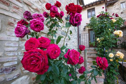 a bunch of red roses on a stone wall at BorgoCuore in Todi