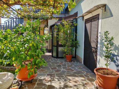 Apartment Tolles Appartement in Umag mit Grill- Terrasse und Garten by Interhome
