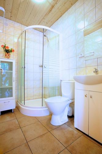 a bathroom with a toilet and a shower and a sink at AIDA Domki Letniskowe - domki 5 min od MORZA - Plac Zabaw & ANIMACJE dla DZIECI, ROWERY gratis dla Gości in Rewal