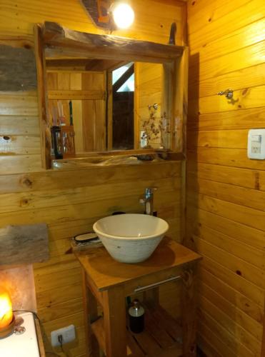 a bathroom with a bowl sink on a wooden wall at Cabaña Lo de VIVI in Casa Grande