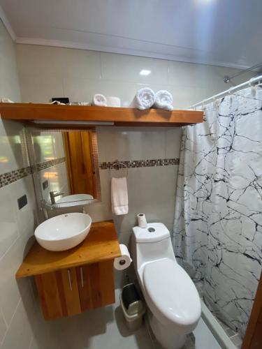 a bathroom with a white toilet and a sink at Monkey House, Monterrey in San Cristóbal